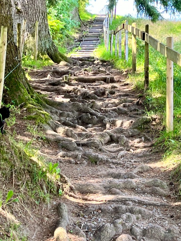 balance-stein-natur-go-beyond-retreat.jpg Balance und innere Stabilität – Go Beyond Retreat