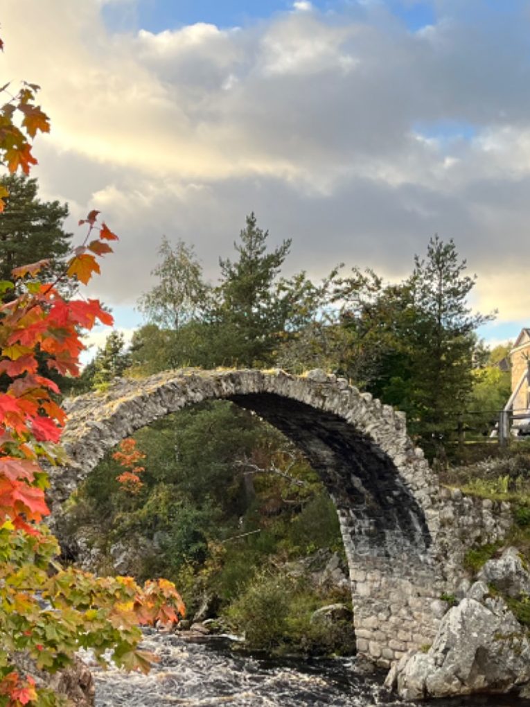 verbindung-bruecke-go-beyond-retreat.jpg Licht und Verbindung in der Natur – Go Beyond Retreat